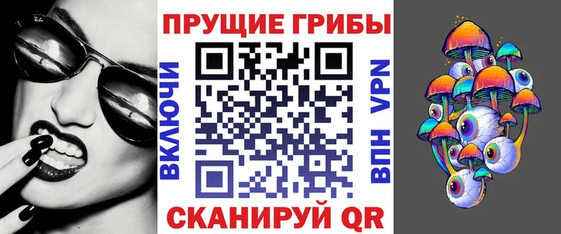 Псилоцибиновые грибы Psilocybe  где купить наркоту  Боготол 